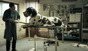 Dogman: il film di Matteo Garrone candidato italiano per gli Oscar 2019