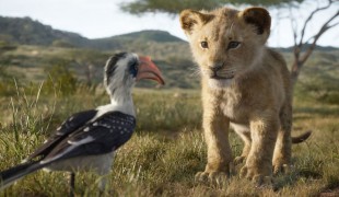 Il re leone, Disney annuncia il sequel: il regista sarà Barry Jenkins