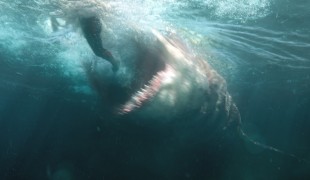 Shark - Il primo squalo, Ben Wheatley sarà il regista del sequel