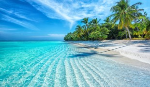 Vacanze alle Maldive: gli atolli più belli e amati (anche dai VIP)