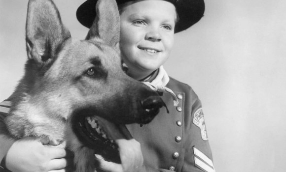 Addio a Lee Aaker: il piccolo Rusty di Rin Tin Tin è morto in povertà a 77 anni