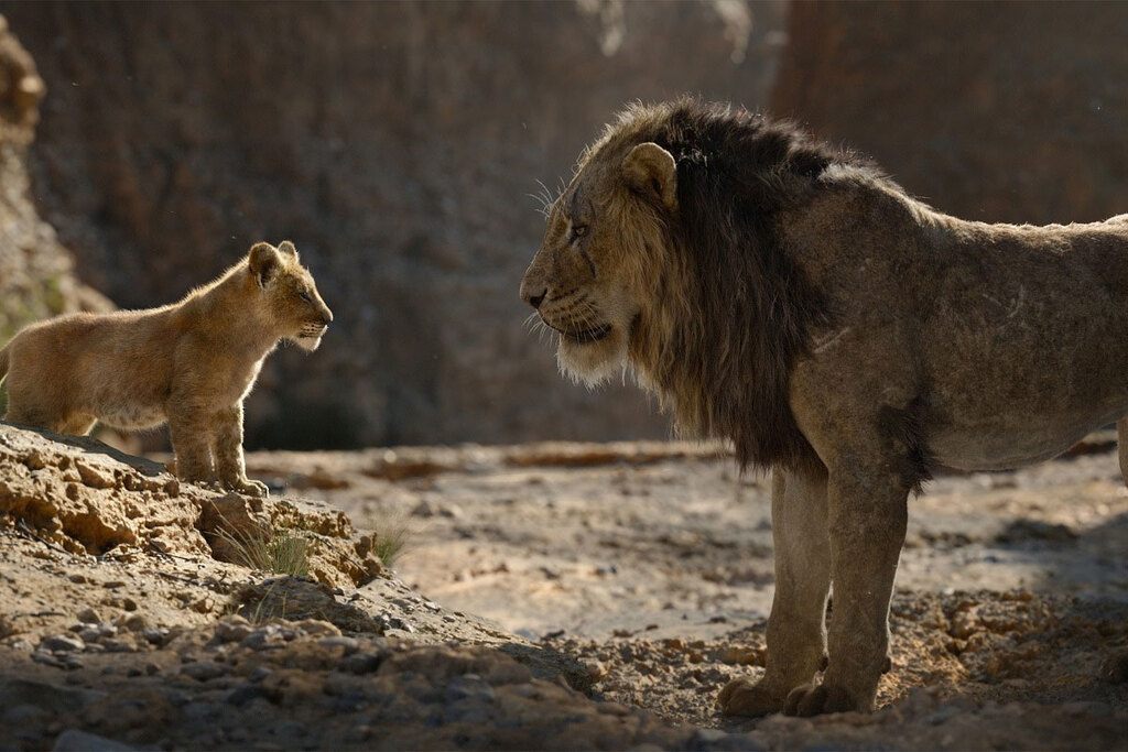 Simba e Scar in una scena del film Il re leone