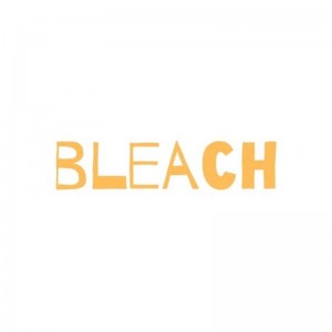 Bleach: 5 curiosità su Kaisen Shiba, dal suo aspetto al suo ruolo